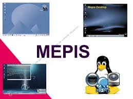MEPIS