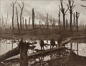Batalla de Passchendaele (julio 1917)