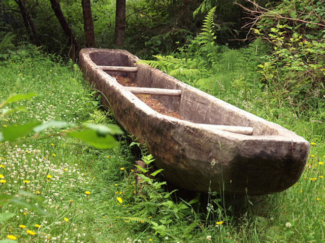 Trees Affect the Expedition