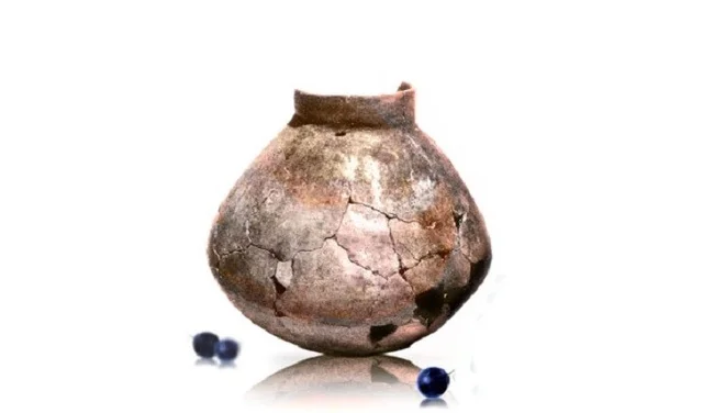 El Primer Biorreactor: Evidencias de la producción de vino hace 5,000 años.