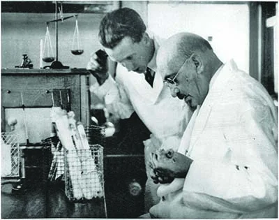 Biorreactor para acetona, Chain Weizmann