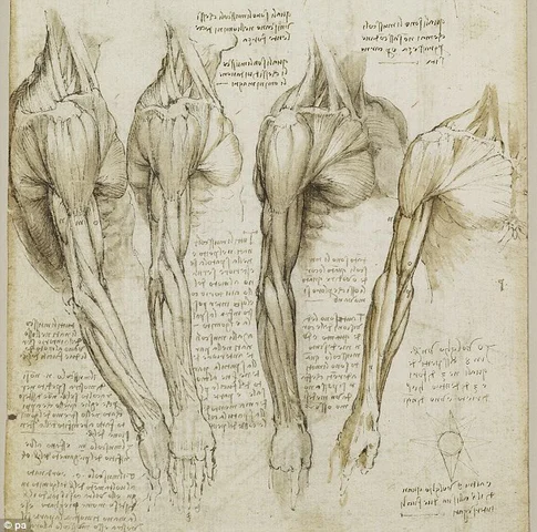 Estudios de Da Vinci