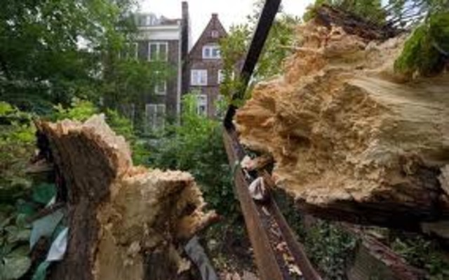 Anne frank foudation