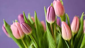 моя бабушка со стороны папы скончалась