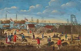 First Fleet Arrives in Australia