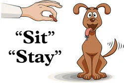 The Discovery of Operant Conditioning