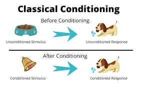 Classical Conditioning - The Origin of Conditioning