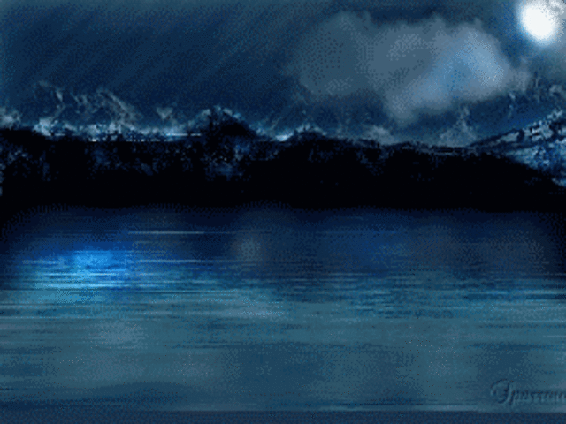 Rainsford falls into water