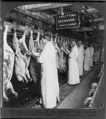 Meat Inspection Act