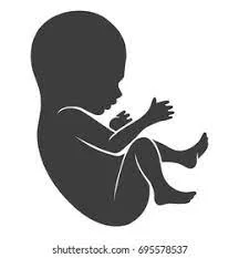 Nacimiento de Matusalén