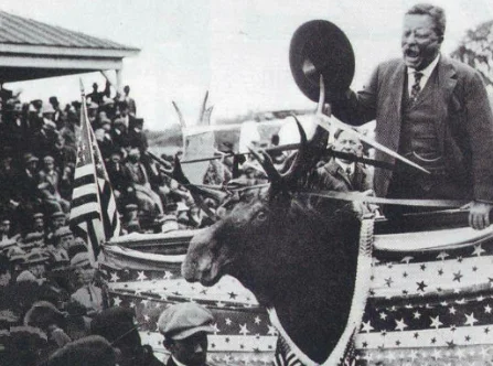 Runs for presidency in Bull-Moose party