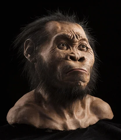 Aparece el Homo sapiens.100.000 años a.C.