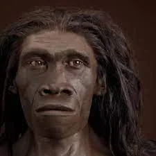Aparece el Homo erectus: 700.000 años a.C