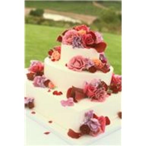 James Bowie marries Maria Ursula Veramendi