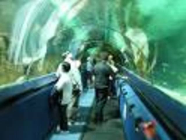 Christ church aquariam