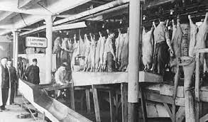 Meat Inspection Act