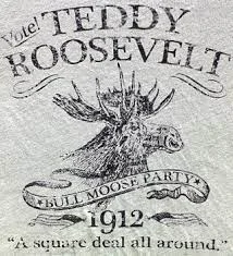 Runs for presidency in Bull-Moose Party