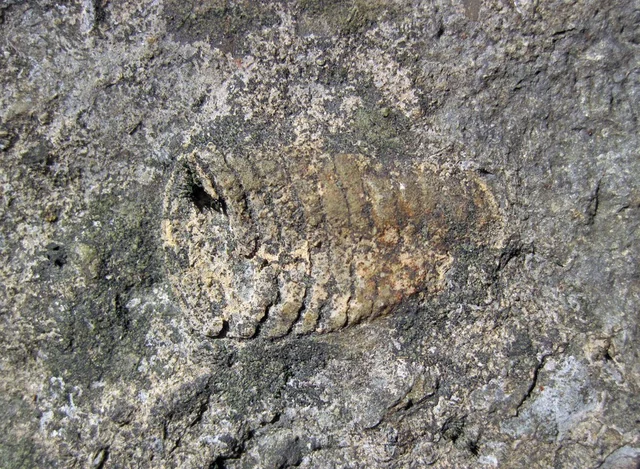 Inicio del Pérmico y  parte del Precámbrico