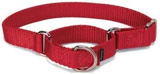 Safeguarding the conditioning process - Martingale Collars