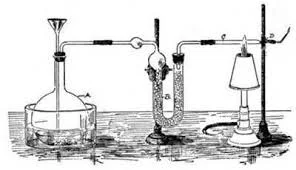 When Toxicology was First Used in forensics