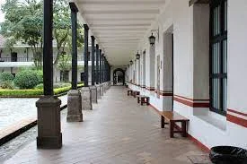 Universidad del Cauca