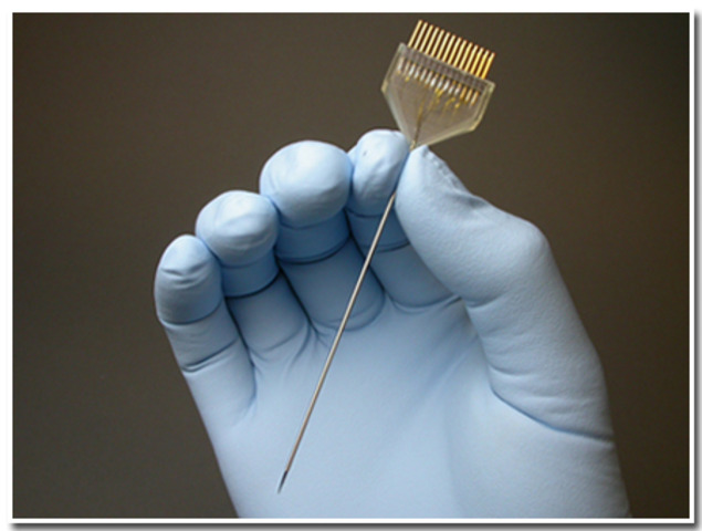 David Ferrier maps out certain areas of cortex through stimulation