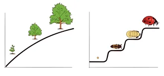 David Klahr y Robert Siegler