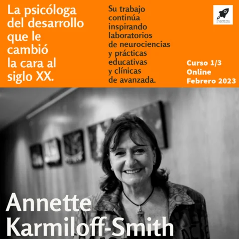 Neuroconstructivismo Karmiloff-Smith
