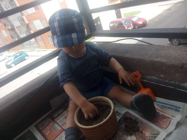 Mi primera Profesión