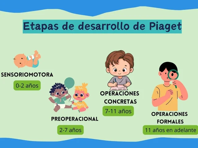 La teoría del desarrollo cognitivo de Jean Piaget  Piaget, J. (1952). "The origins of intelligence in children."