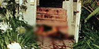 Founding of the bodies