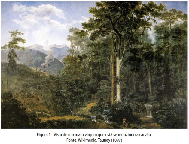 Aspectos históricos de uma crítica ambiental