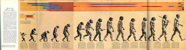 "The Road to Homo sapiens"