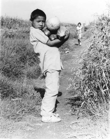 Citizen Groups Response to the fraud Human Rights