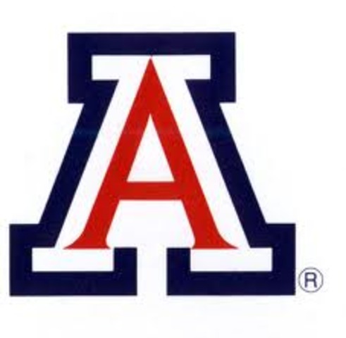 Risk Taking- Determination