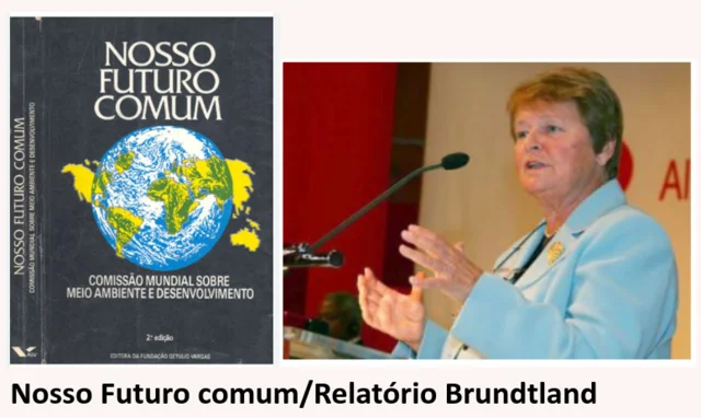 Publicação de Nosso futuro comum/Relatório Brundtland