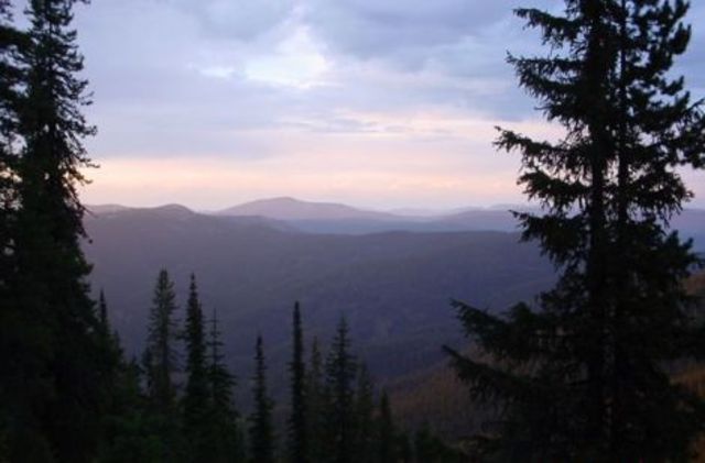 Sacajawea introduces Tree Bark for Food