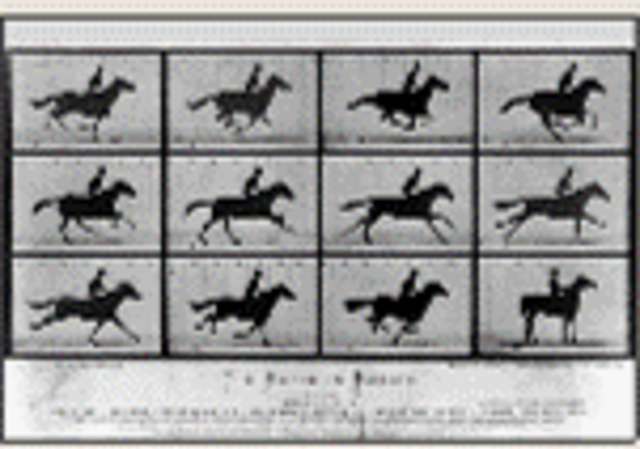 The first action photo.