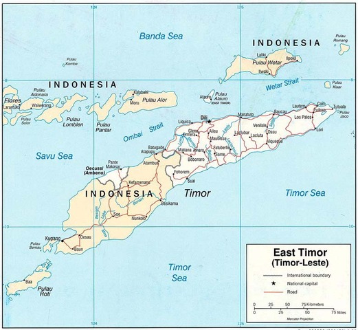 History Of East Timor Timeline Timetoast Timelines