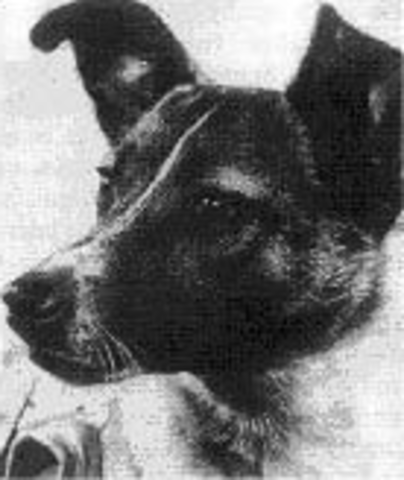 ΠΡΩΤΟΣ ΖΩΝΤΑΝΟΣ ΟΡΓΑΝΙΣΜΟΣ ΣΕ ΤΡΟΧΙΑ