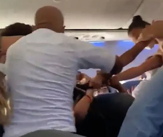 The Fight