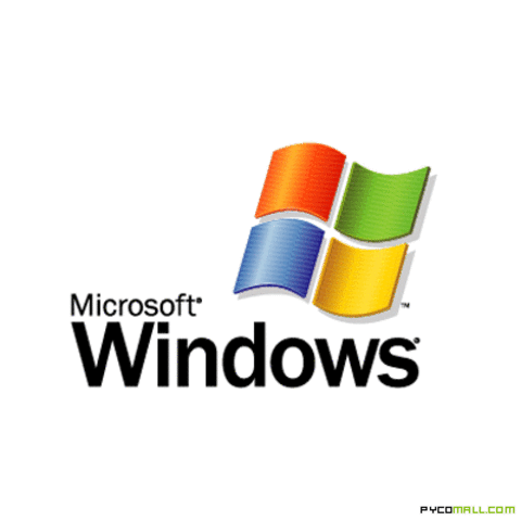 Microsoft Launches Windows (2)