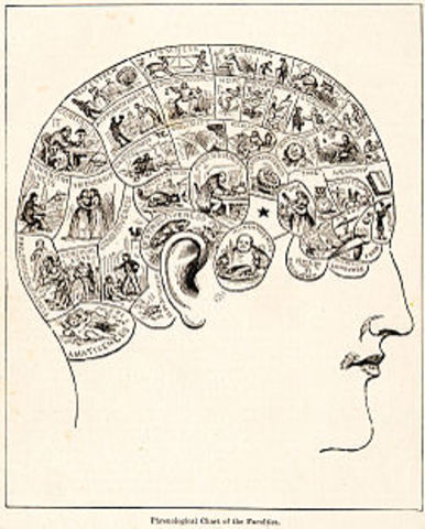 Franz Joseph Gall Begins the Study of Phrenology