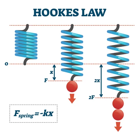 Hooke's Law and Springs
