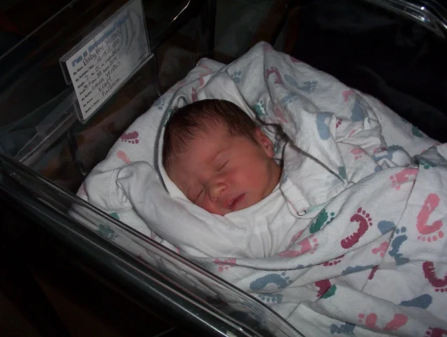 Infancy (Chapter 3): Cognitive Development