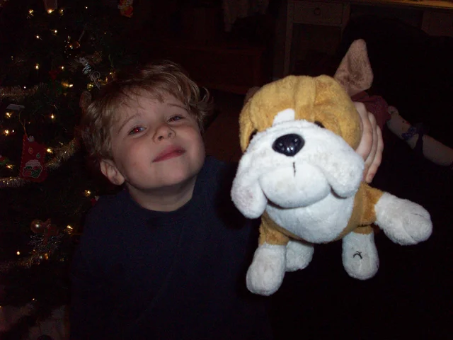 Early Childhood (Chapter 5): Cognitive Development