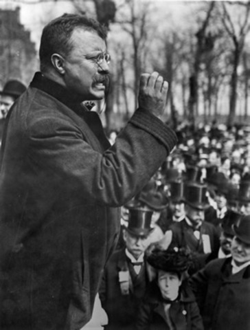 Theodor Roosevelt speaks up about joining the war