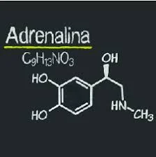 L'adrenalina