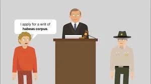 Malloy v. Hogan