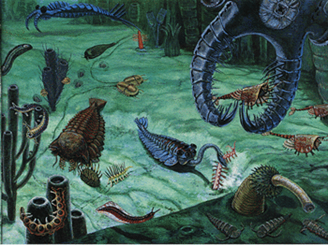 Precambrian Time 4600 MYA